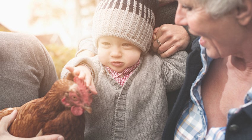 baby-organic-inline-2.jpg baby-organic-inline-2.jpg