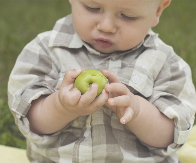 Baby wearing a checkered top, holding an apple with bite marks, and looking at it inquisitively