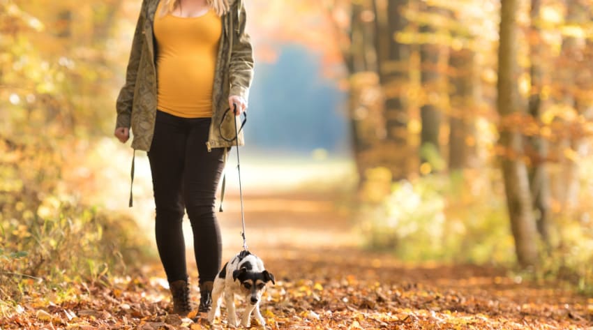 pregnancy-exercises-body_850-2.jpg Pregnant mother walking her dog