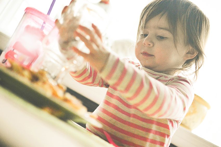 toddler-toddler-meal-planner-body.jpg toddler-toddler-meal-planner-body.jpg